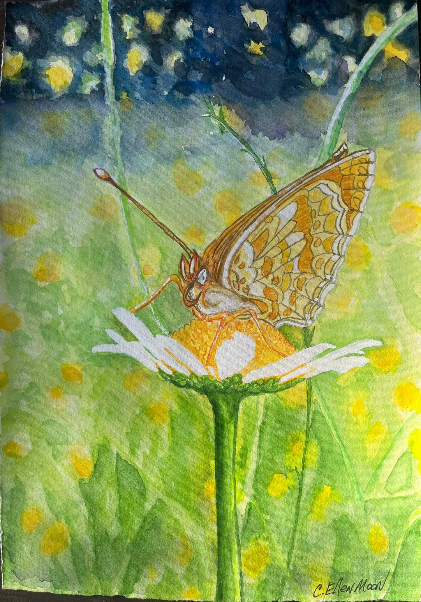 Moth in Delight