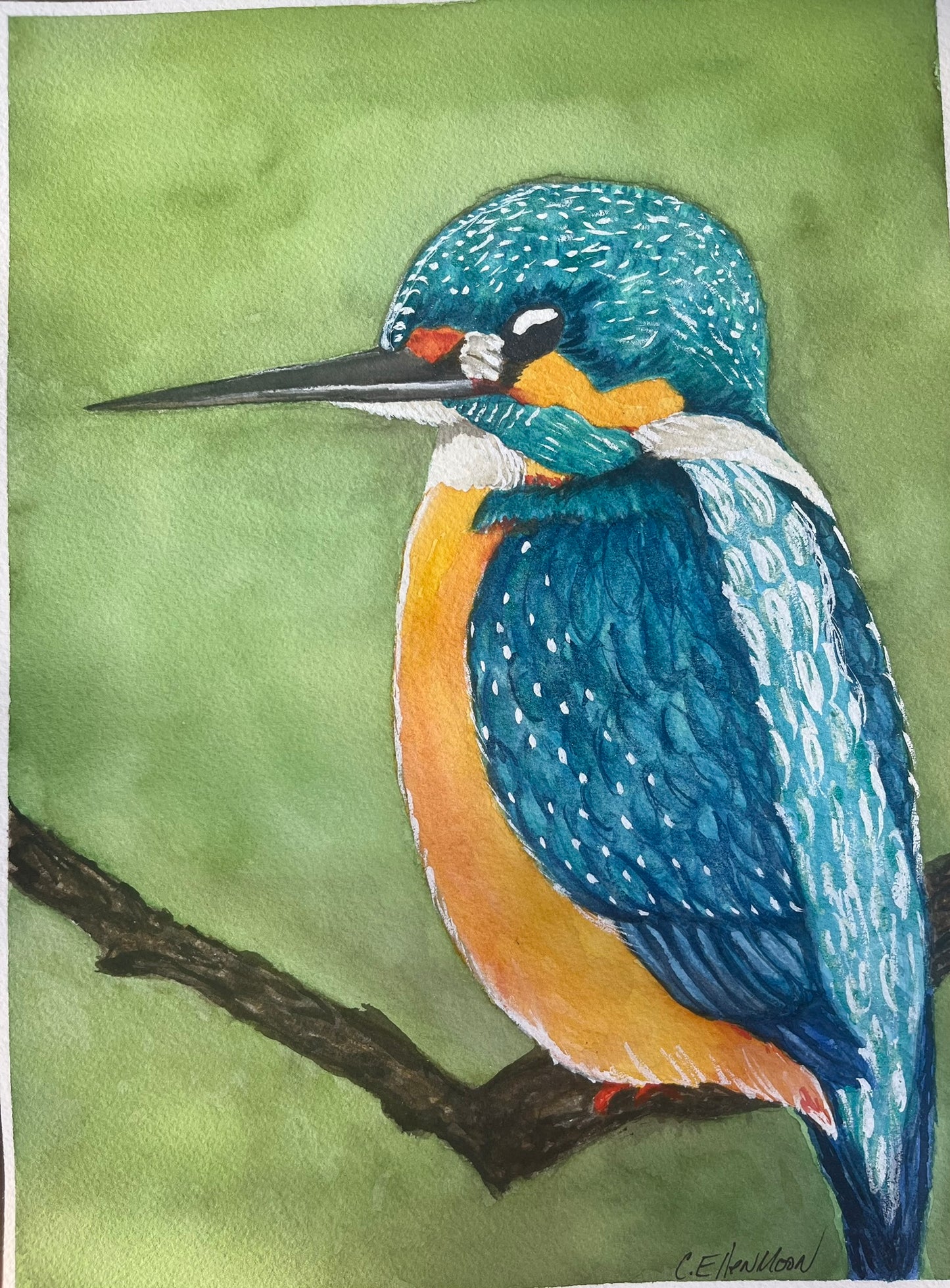 Kingfisher