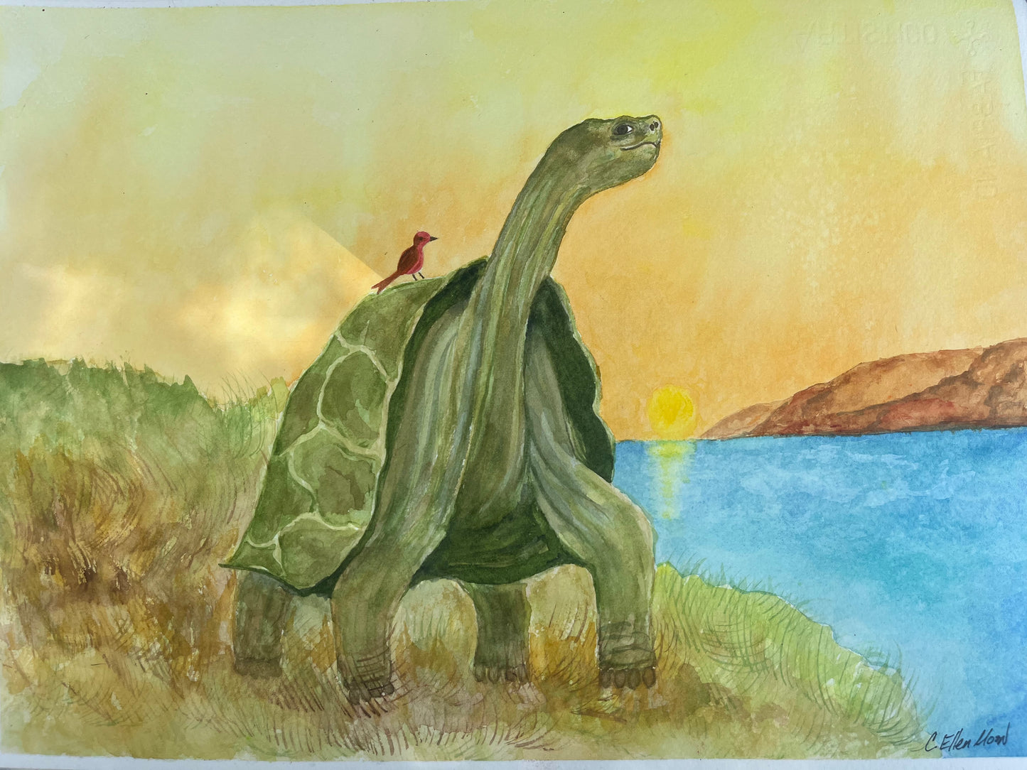 Tortoise with Red Bird