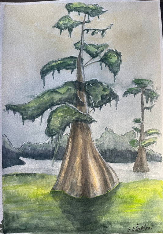 Cypress Softness